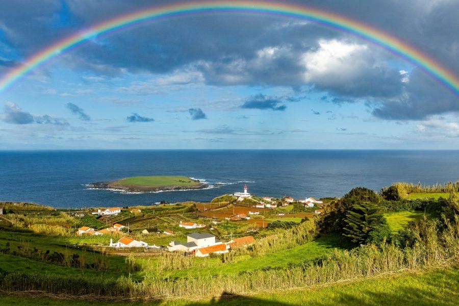 Rota do Queijo São Jorge – Calheta