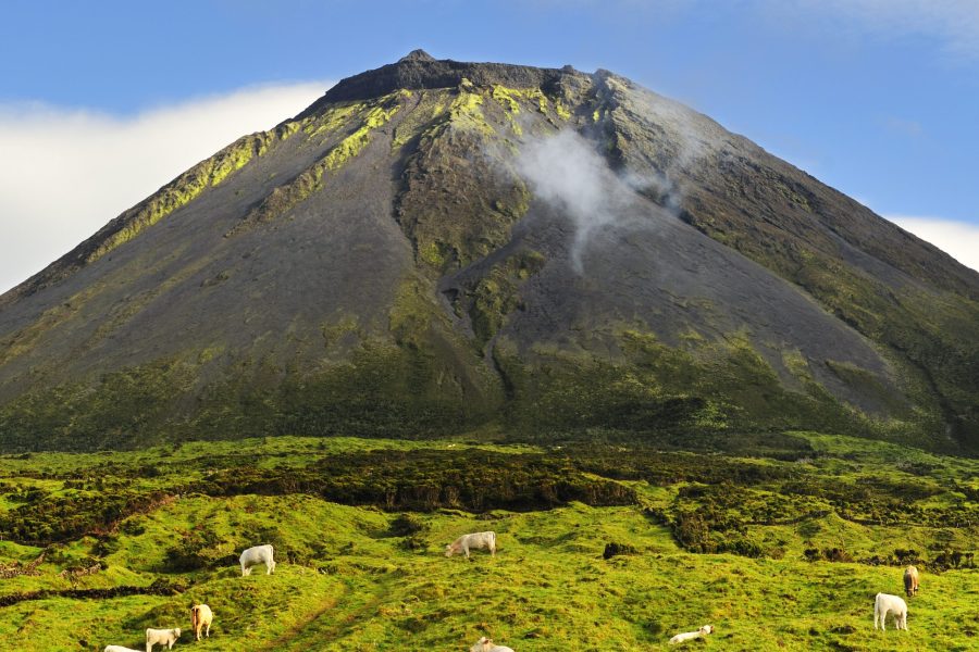 Ilha do Pico